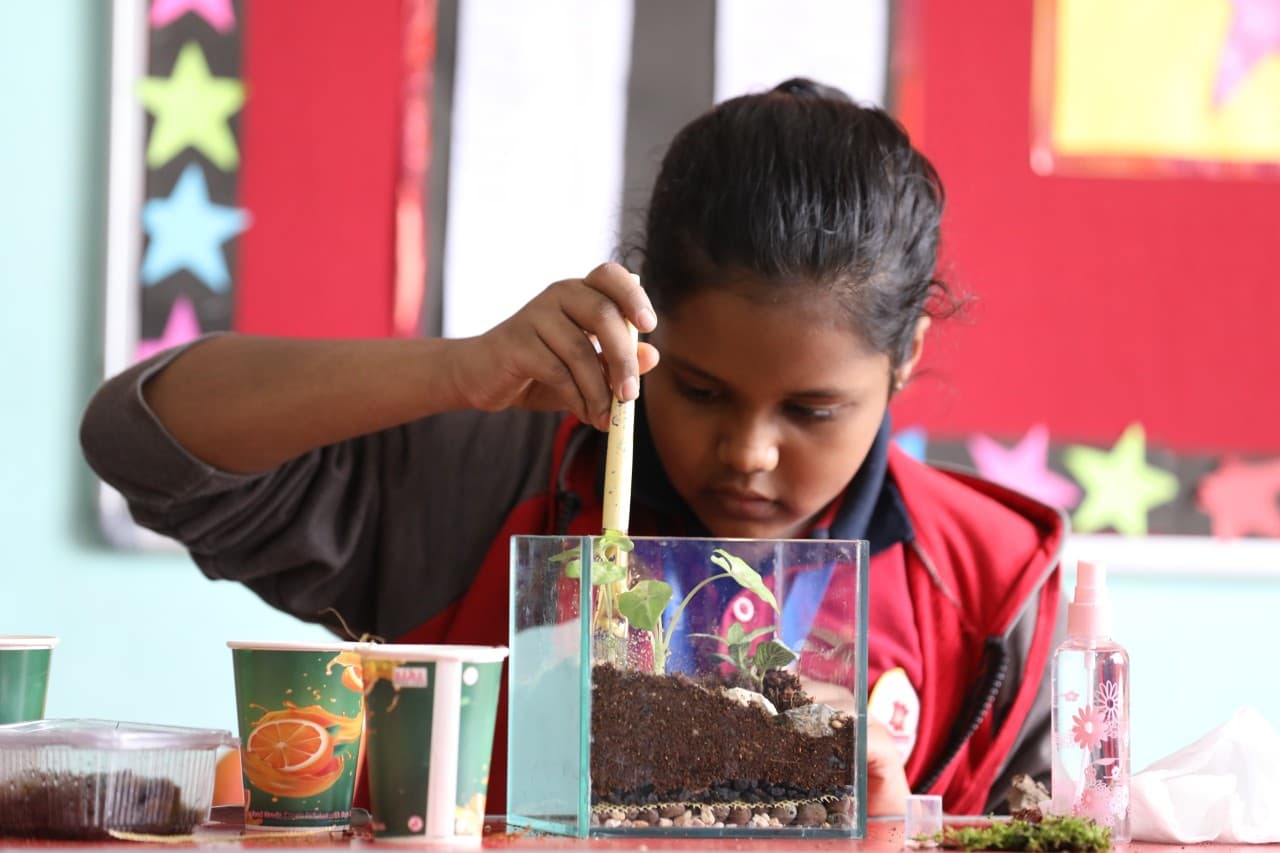 Terrarium Workshop