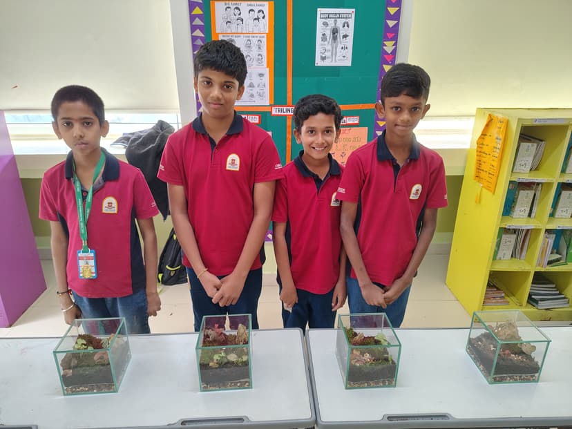 Terrarium Workshop