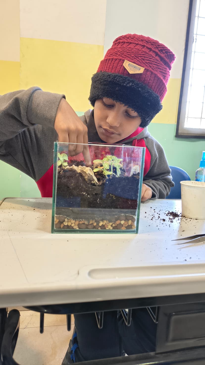 Terrarium Workshop