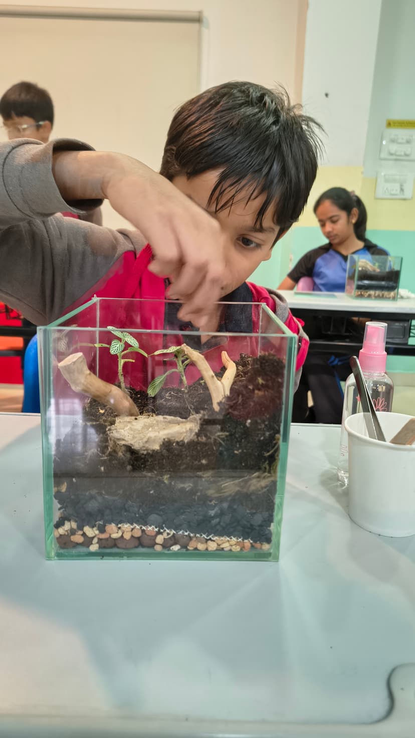 Terrarium Workshop