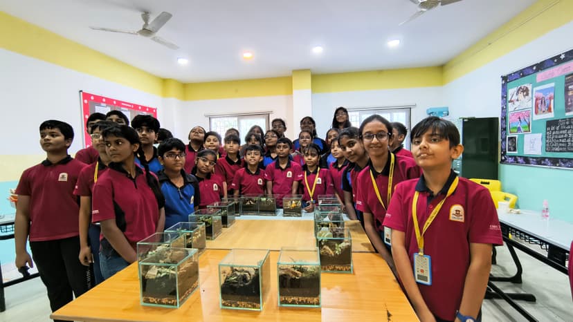 Terrarium Workshop