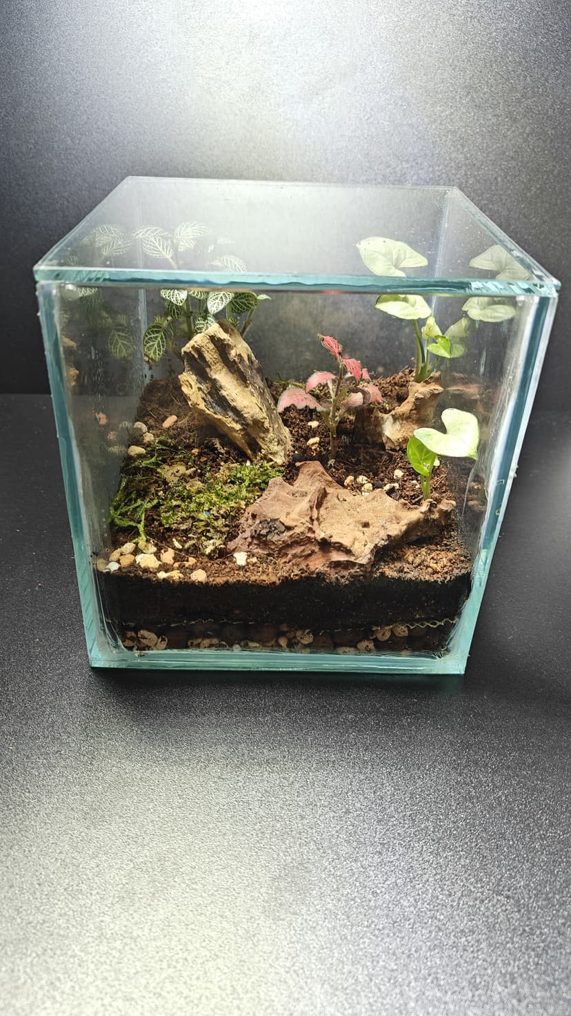 Terrarium Workshop